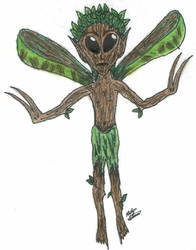 My Version of a Bowtruckles by starzykat