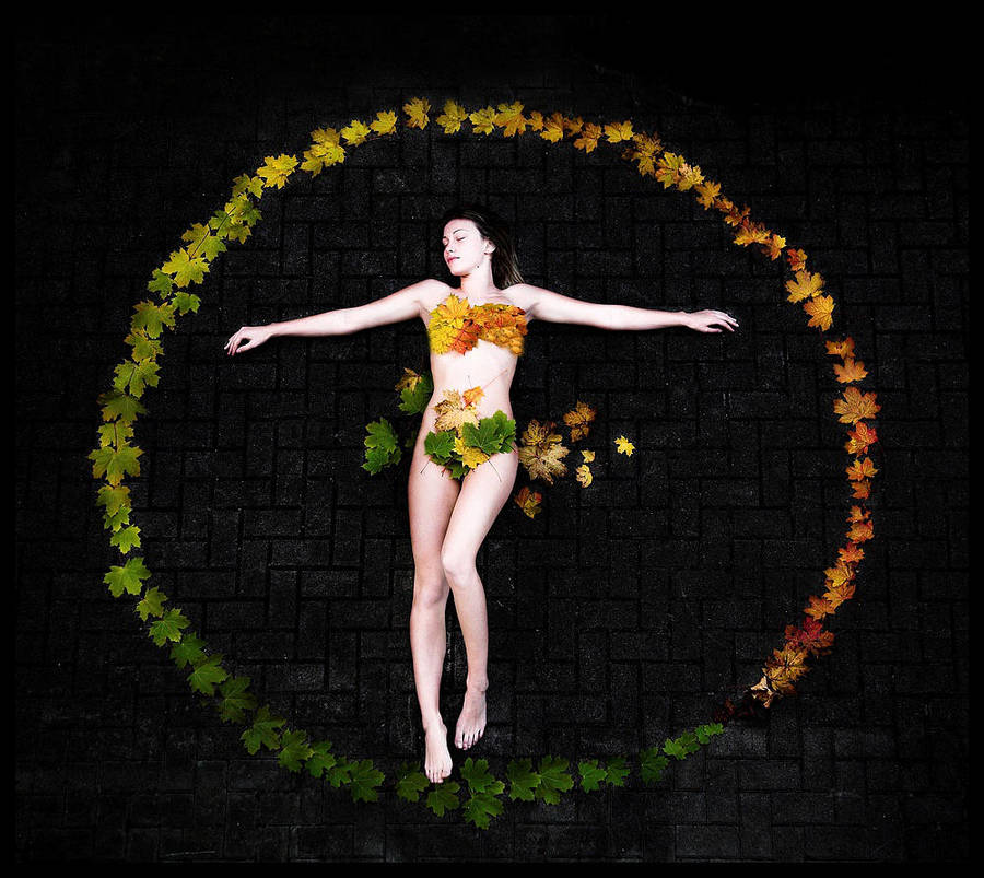 -Circuit of Life- by jfphotography