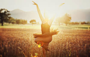 black swan by jfphotography