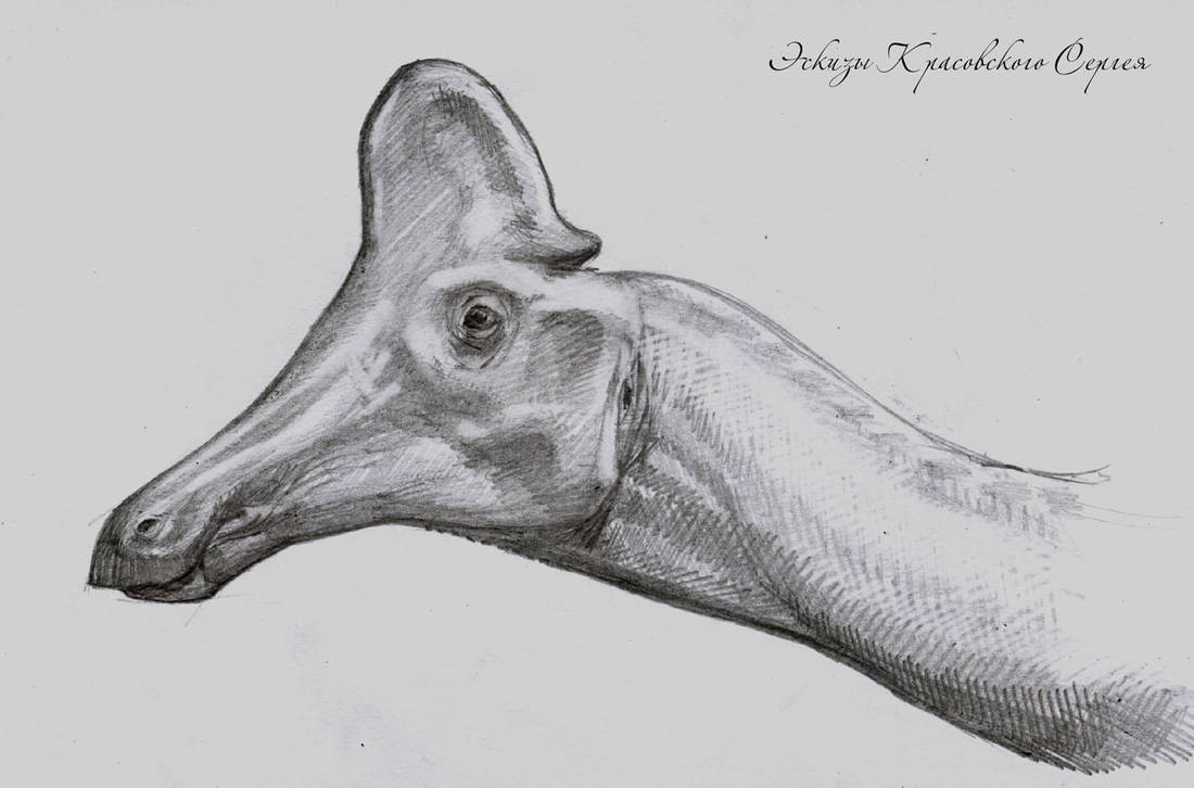 Amurosaurus by atrox1