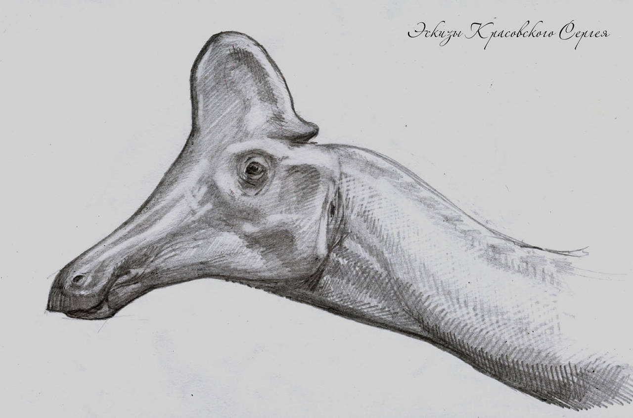 Amurosaurus by atrox1