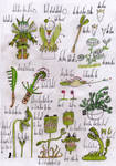 Carnivora Forest by ClassyBoogeyman
