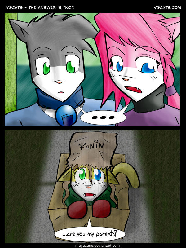 VGcats: The Answer Is 'No'. by mayuzane