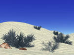 Sand and Thorns by RandomSearcher