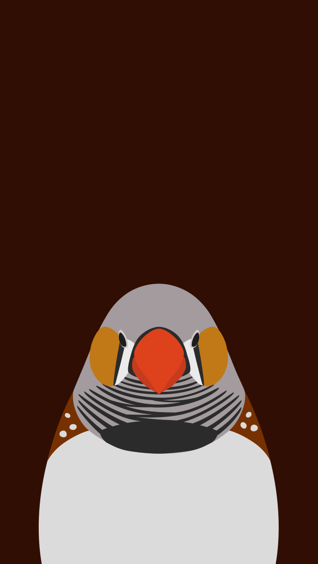 Zebra Finch - bird wallpaper for iPhone by birnimal