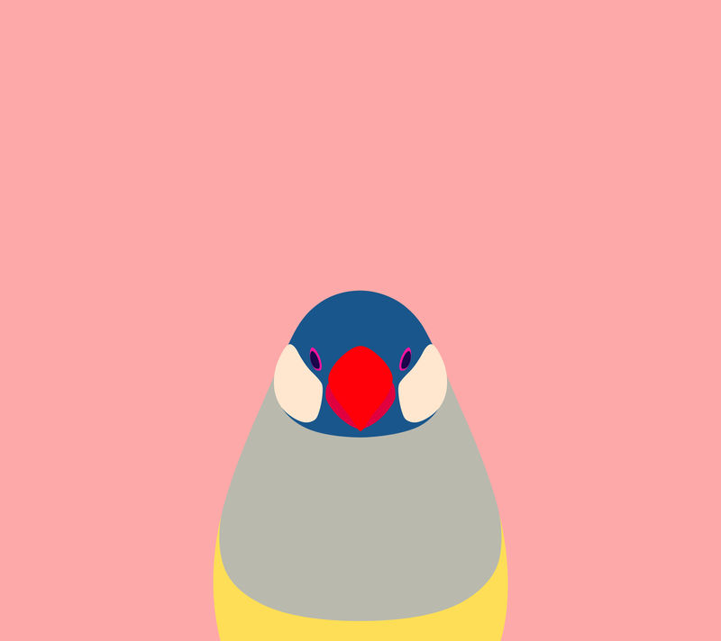 Pink Java Sparrow Wallpaper for Android by birnimal