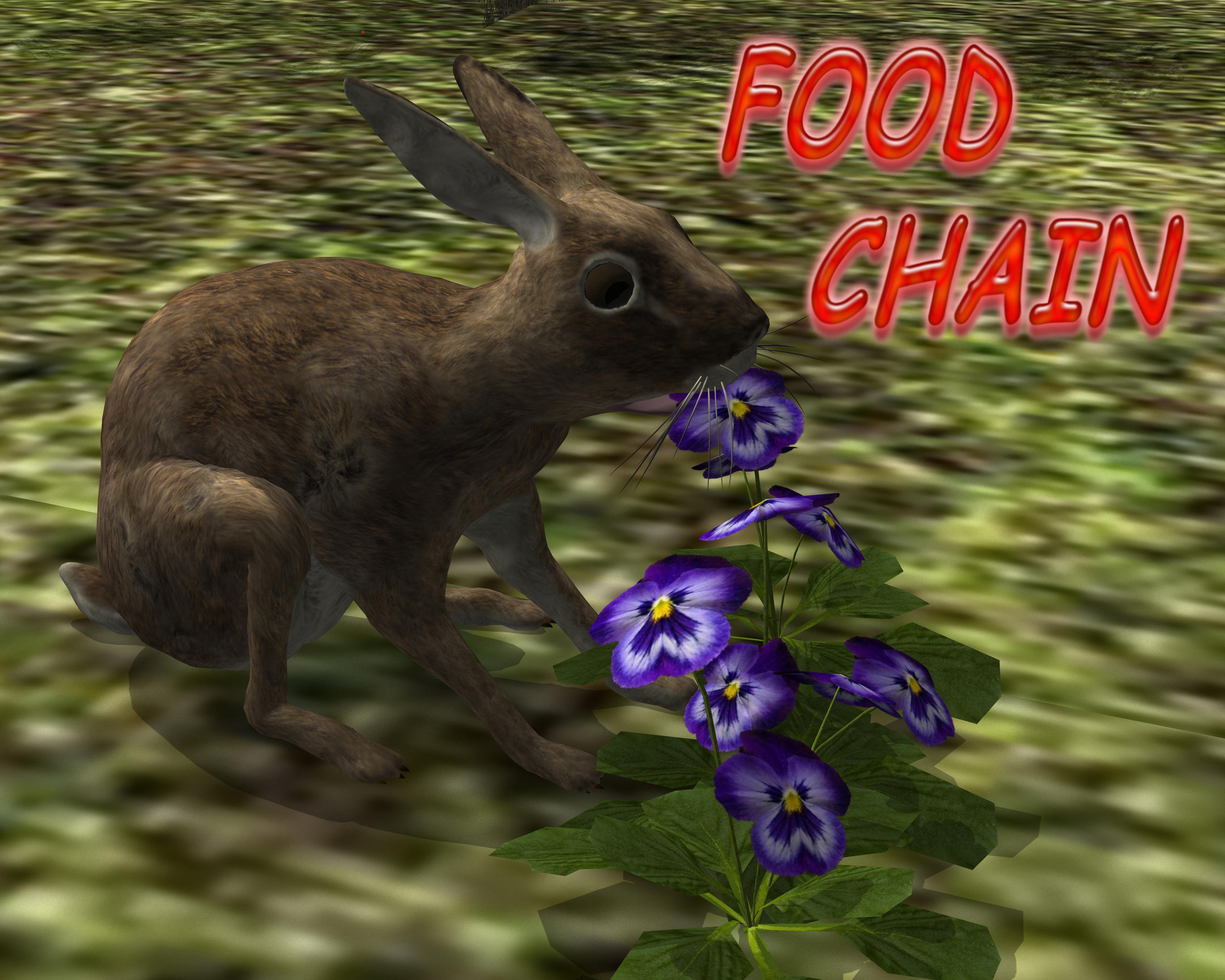 Food Chain by Voremantic on DeviantArt Biology Diagrams