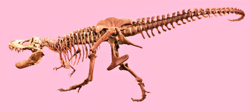 Dinosaur Stock by LEXLOTHOR on DeviantArt