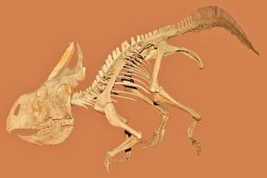 Dinosaur Stock by LEXLOTHOR on DeviantArt