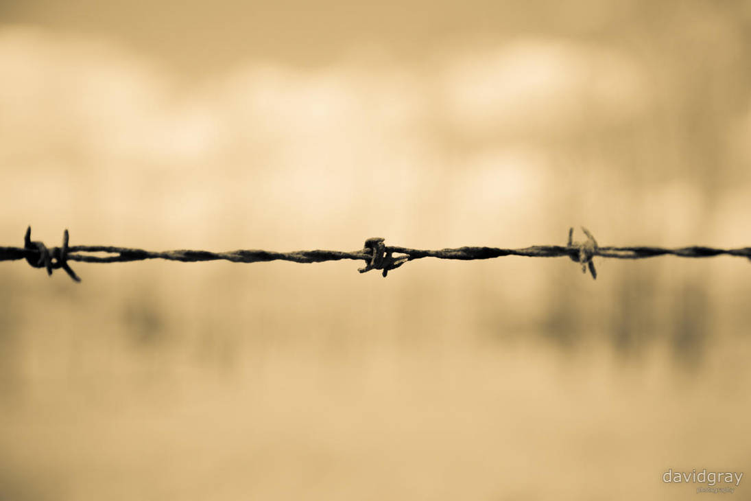 Barbed by Grayda
