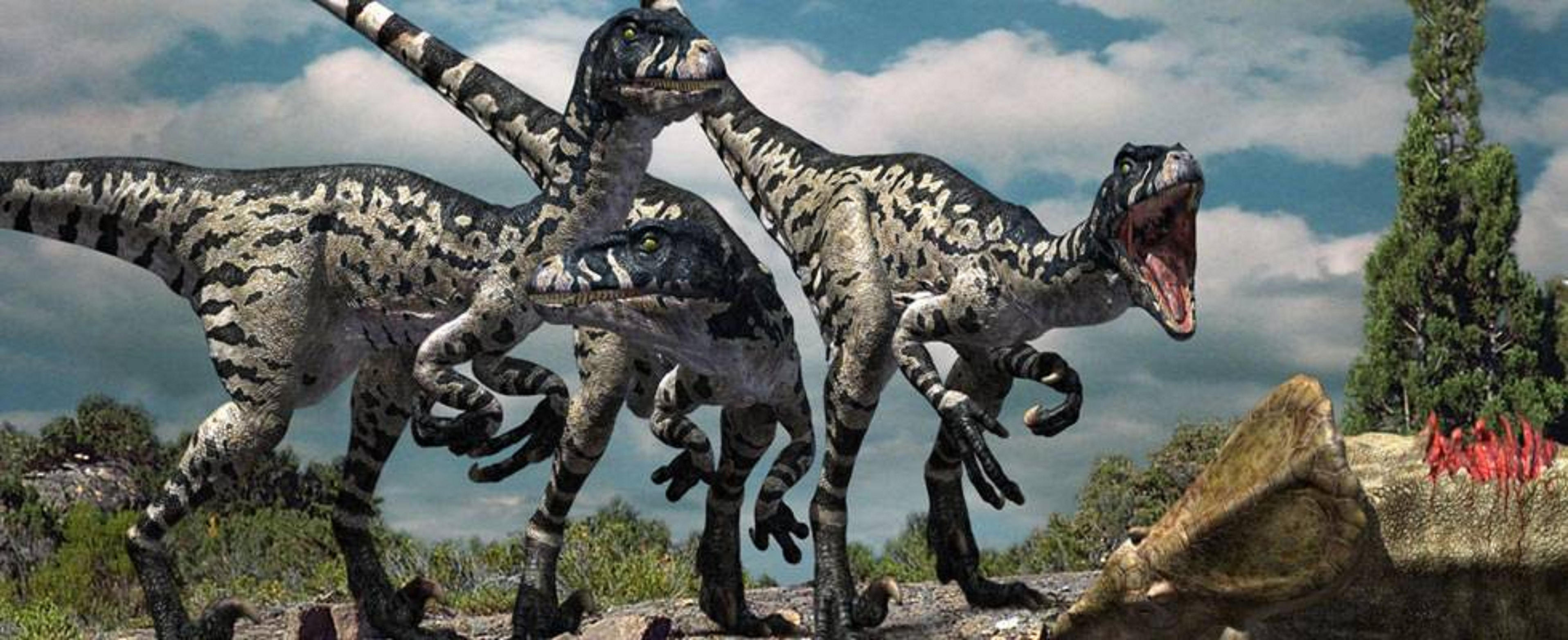 Dromaeosaurus ! by grisador