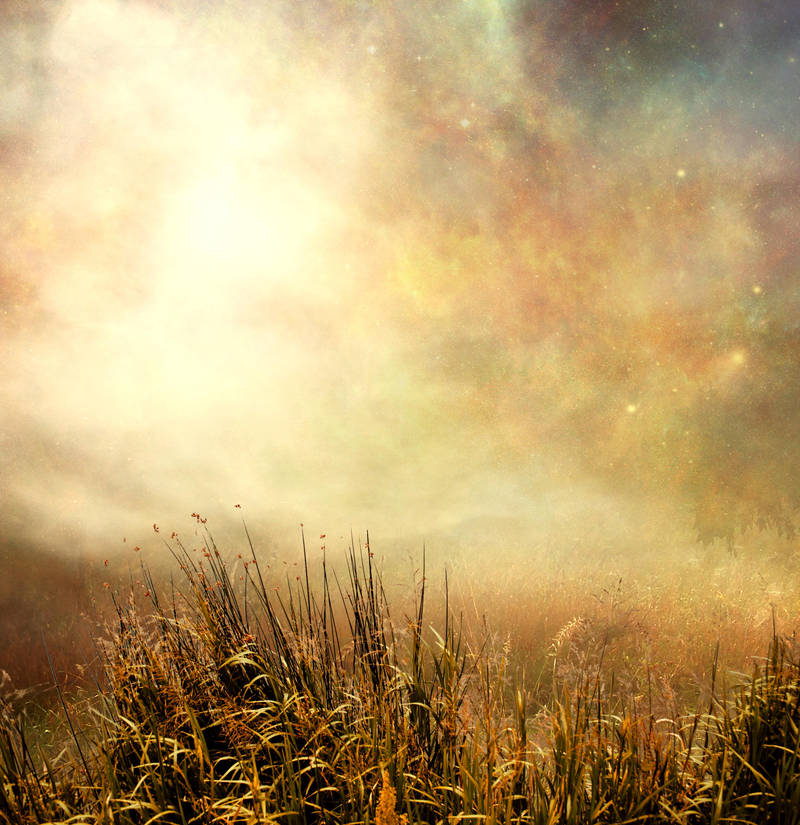 Premade stock 8