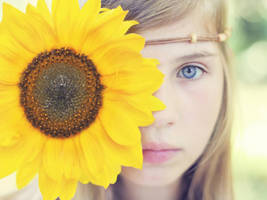 S u N cH i C a by M-0-N-0