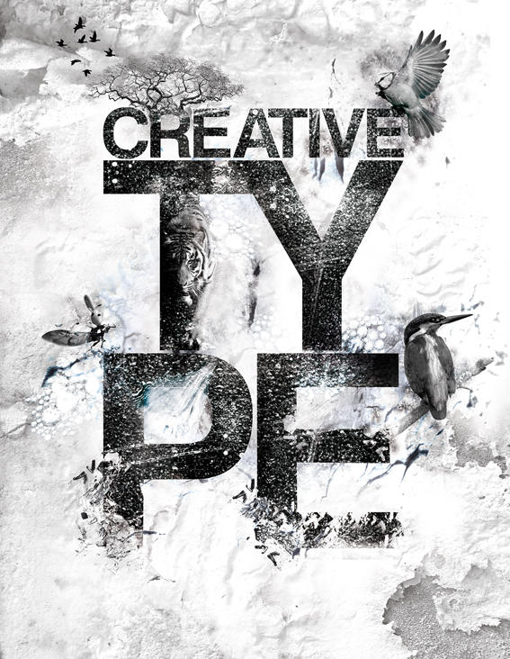 Creative Type by staceygrove