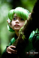 The Zelda Project: Saria by Adella