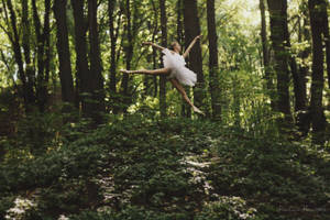 In The Hall Of The Mountain King III by Paolajn