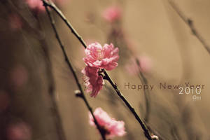 Peach Blossom by Onisimple