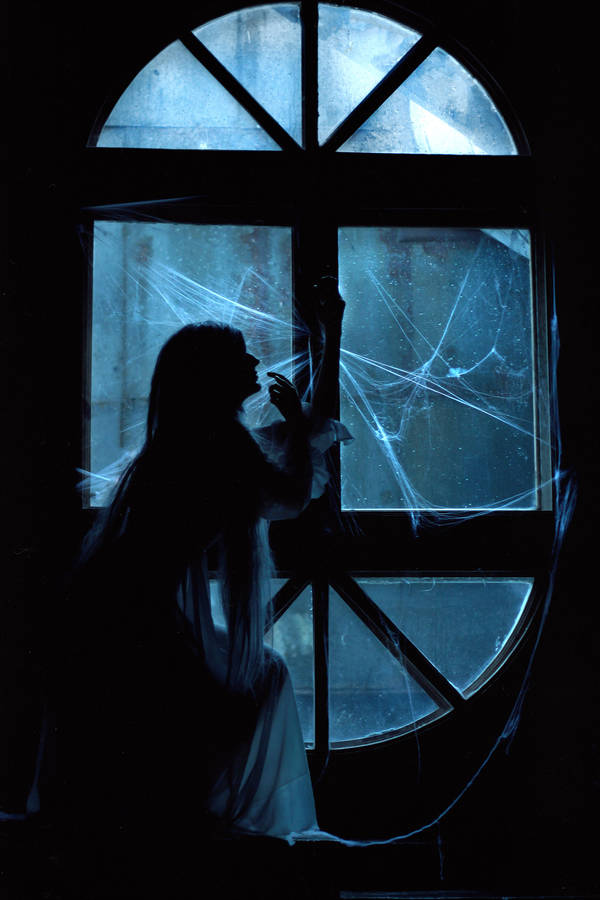 The Ghost In My Attic 2