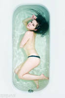 The reason why by PlastikStars