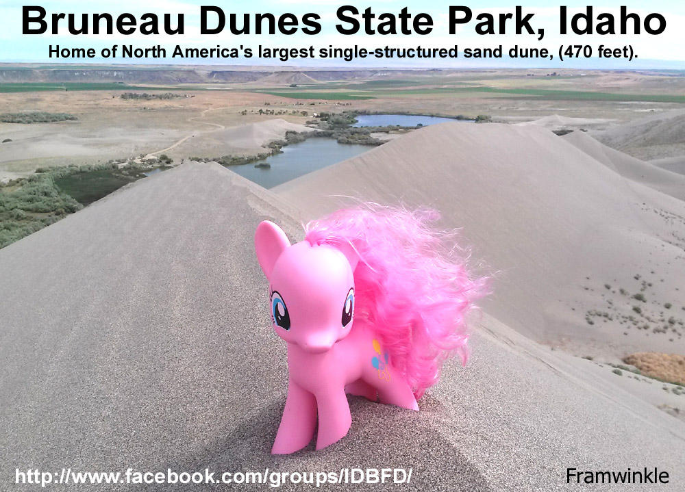 Pinkie Pie at the Bruneau Sand Dunes by Framwinkle