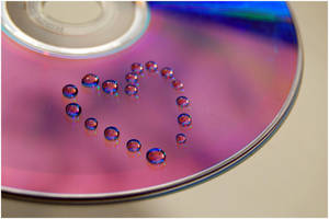 Valentine's Day by groundhog-day