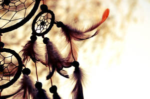 Dream Catcher by fucute