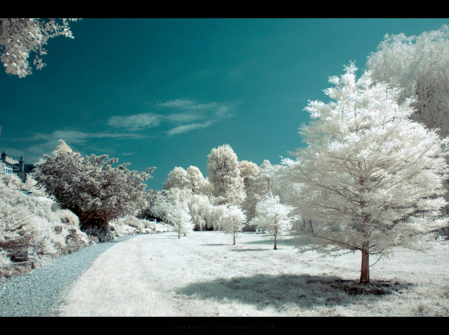 ir worlds 008 by Sebasket