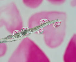 Happy valentines part1 by pqphotography