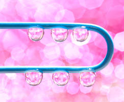 We hold the light by pqphotography