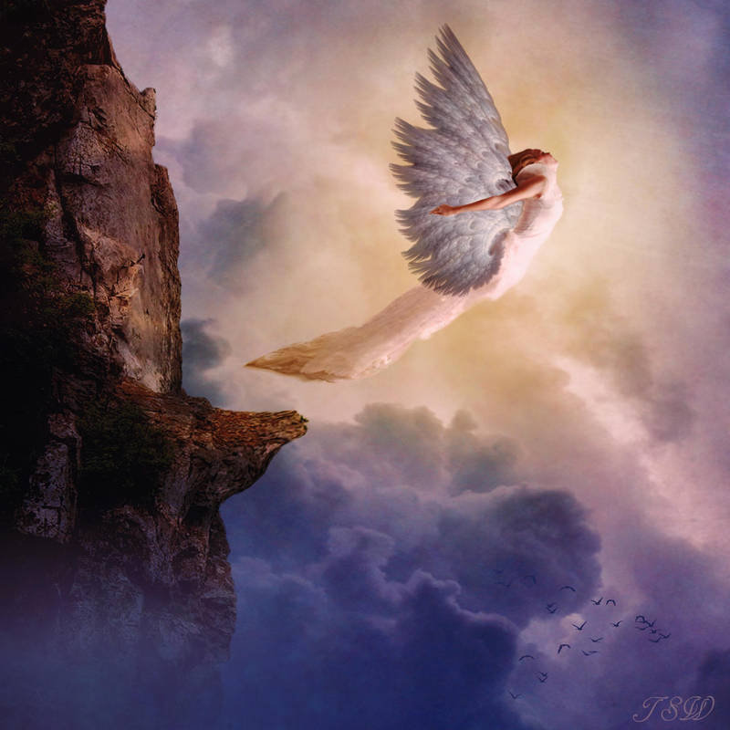 Learning To Fly by TSWright