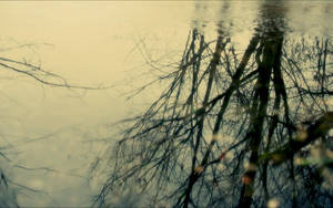 second side of dream by Luincale