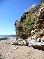Pismo Beach Cliff by Bladescream