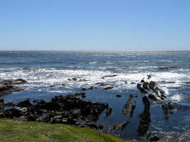 Ocean View by Bladescream