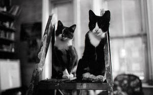 two friends from the squat by ZNZtazmanijus