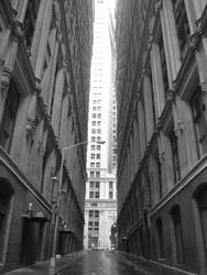 Amazing by Free42590