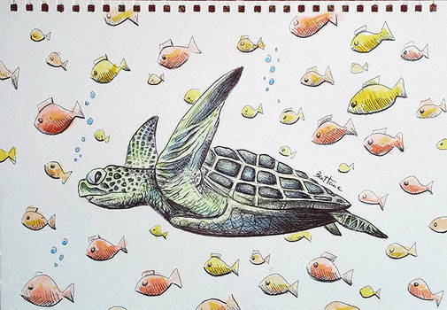 Turtle (#Onthedraw Project) by BenHeine