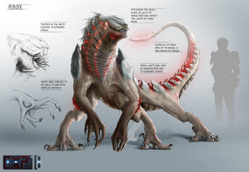 Rynyx Creature Concept Sheet by franeres