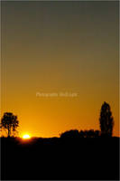 Sun will rise up by red-liight