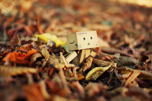 Danbo en automne by red-liight