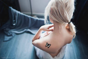 Si fragile by red-liight