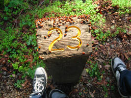 Number 23 by xXLilDragonGirlXx