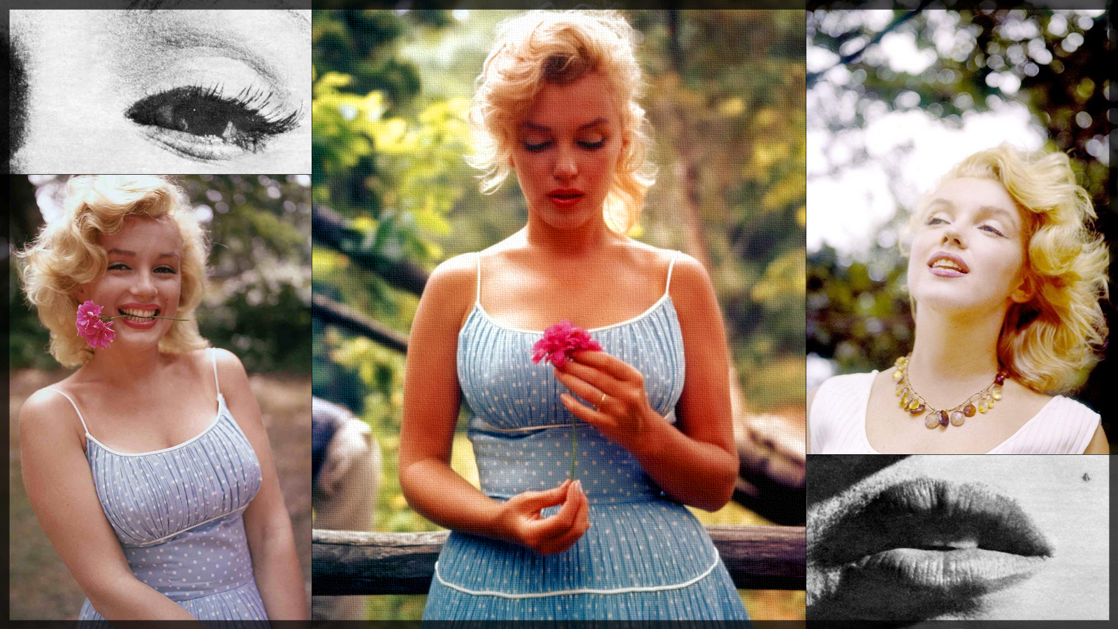 Nature - a Marilyn wallpaper by Phen0m77