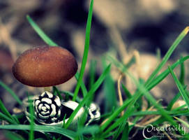 Diamond Fungus by CreativityFTCorrupt