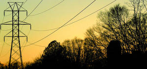 at the edge of the woods by latticeworkopines