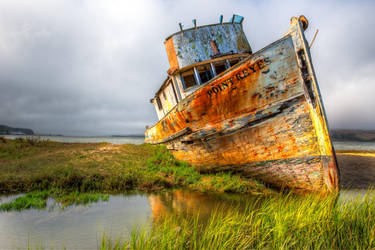 The permanent resident | Point Reyes, California by alierturk