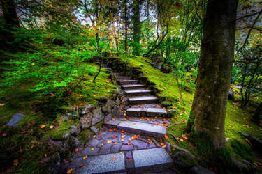 Portland, stairs of Lothlorien by alierturk