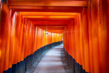 Fushimi Inari Taisha - Kyoto, Japan by alierturk