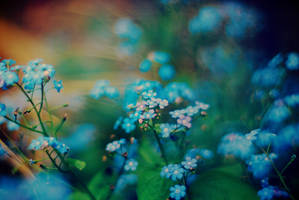 21 degrees by Laura1995