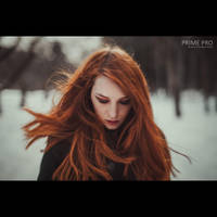 Proportrait v.73 by Serrgeon