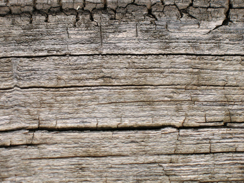 Wood Grain Texture 9 by escapist1901